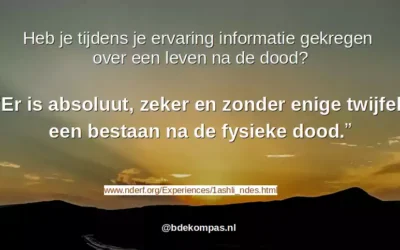 Leven na de dood